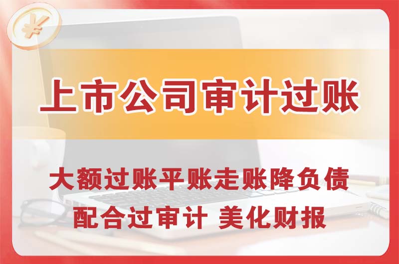 平湖上市公司审计过账
